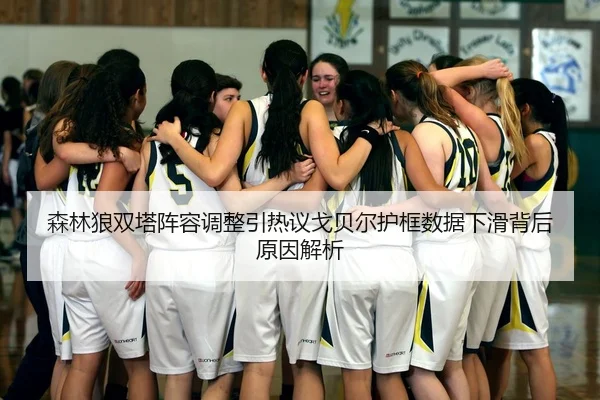 森林狼双塔阵容调整引热议戈贝尔护框数据下滑背后原因解析